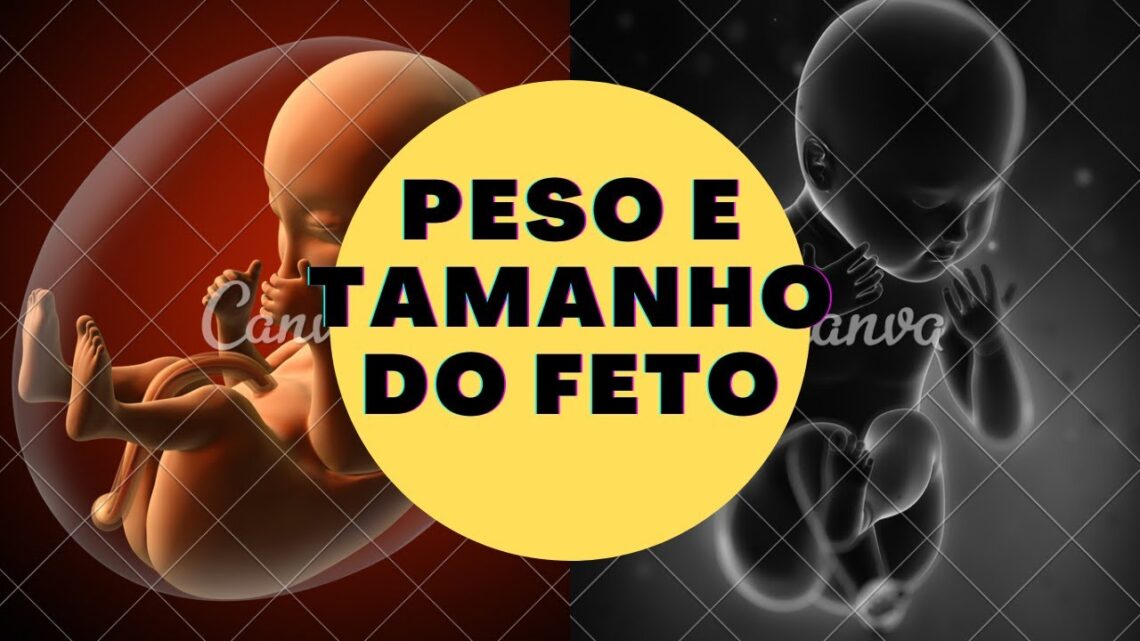 Peso e Tamanho do Feto