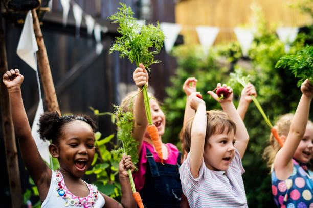 Como ter uma Alimentação Infantil Saudável dos 2 a 10 anos